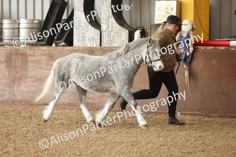 20251109-0599 - Class 22 - Geldings 4 Years and over