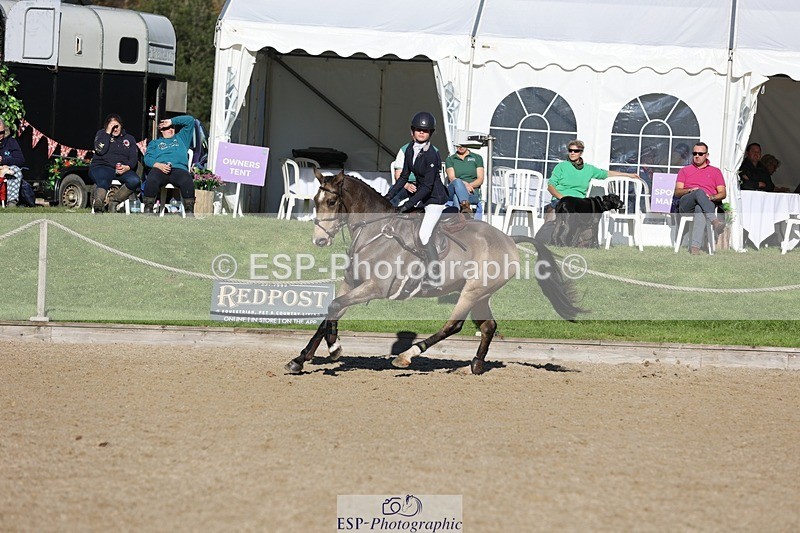 241027-114423-16957 - 319-Neve.Webber-MR.BUZZ