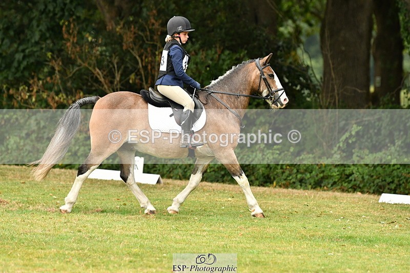 ZZZDeleted250820A-123629-05624_12 to 1300 - 077-332-2719