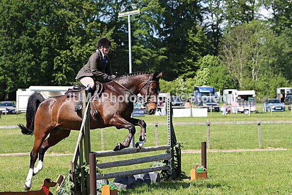 IMG_4473 - Working Hunter