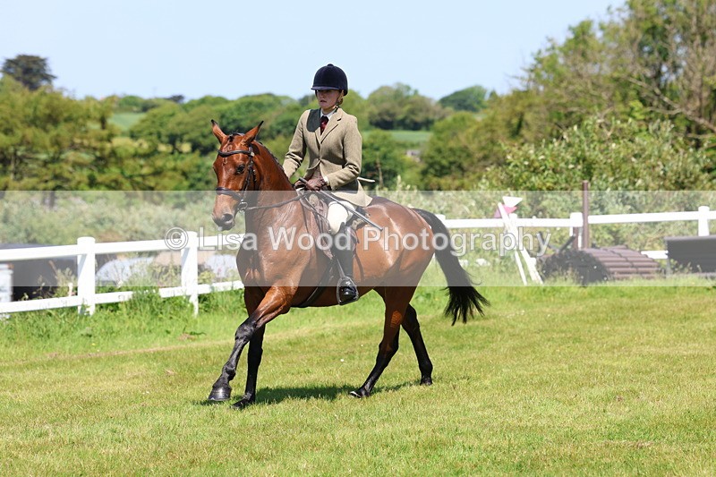 3E7A7224 - Class 30: Novice Working Hunter