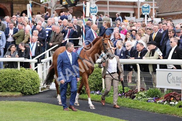 yr13052022r4-18 - Race 4 3.35pm The Paddy Power Yorkshire Cup (British Champions Series Race)