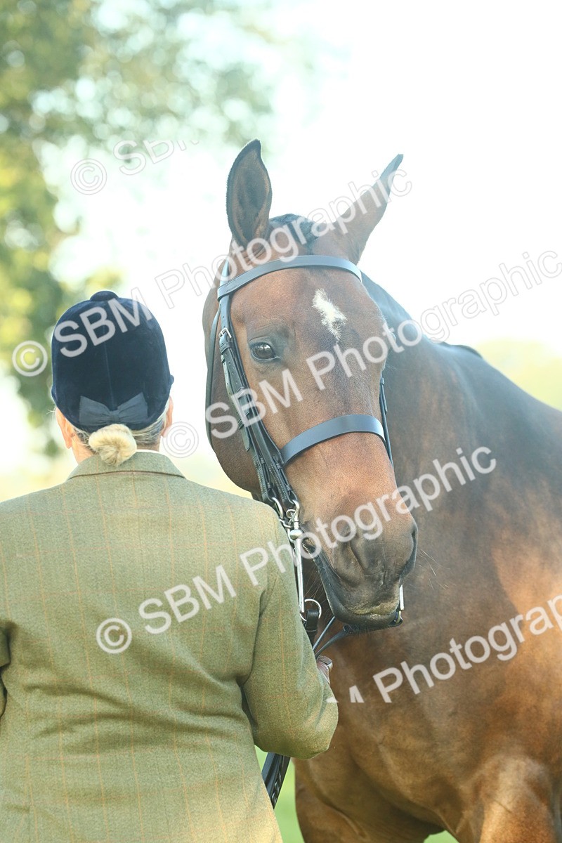 SBM_56646 - S36 - Starters Best Turnout