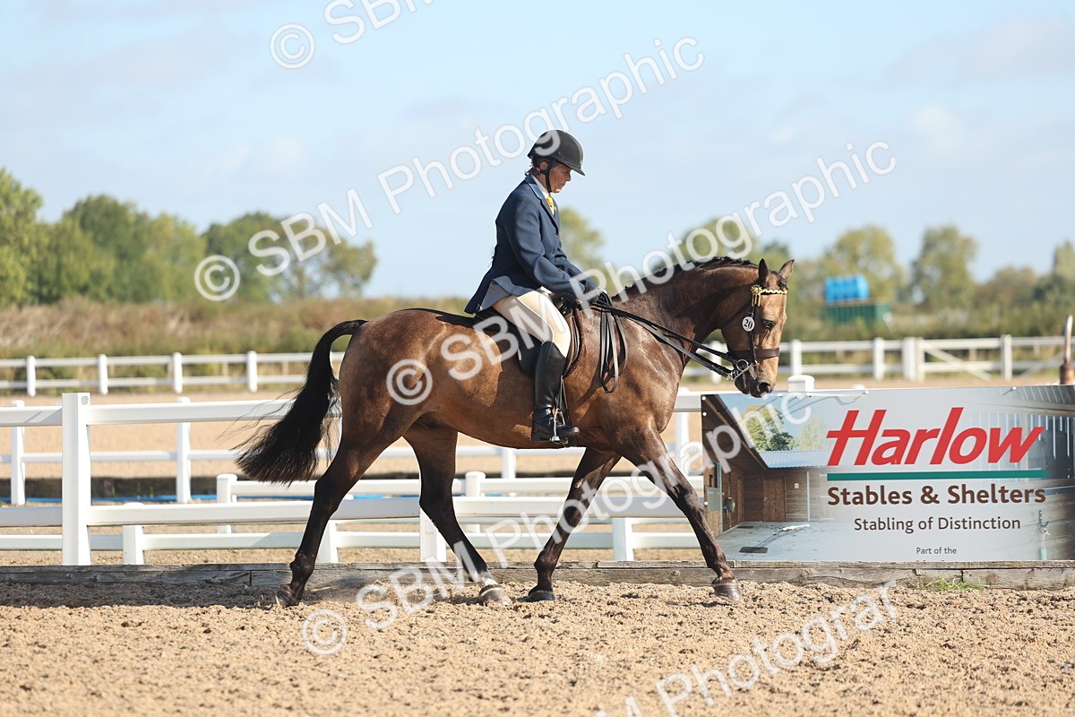 SBM_22275 - Class 803 - Ridden Combination 65+