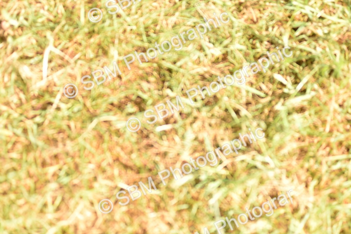 SBM_12166 - Class 110-112 - LIHS BSPS Performance Pones