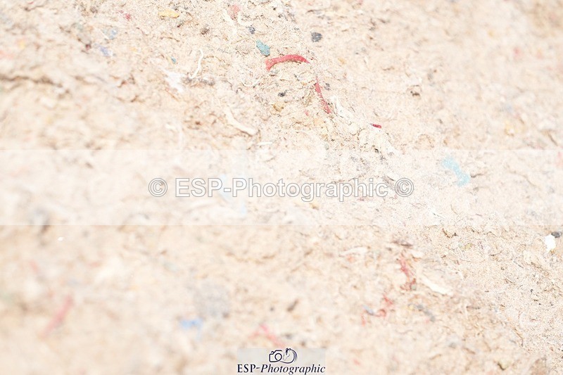 250815-134943-01334 - 1.30pm Presentations