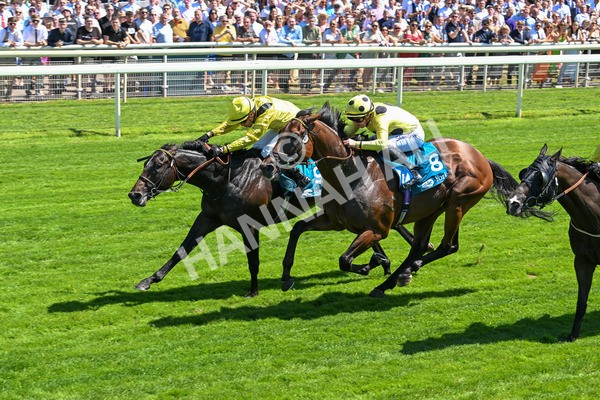 120725-Race 1-Remmooz-5517 - Race 1 2.00pm John Smith's Racing Handicap
