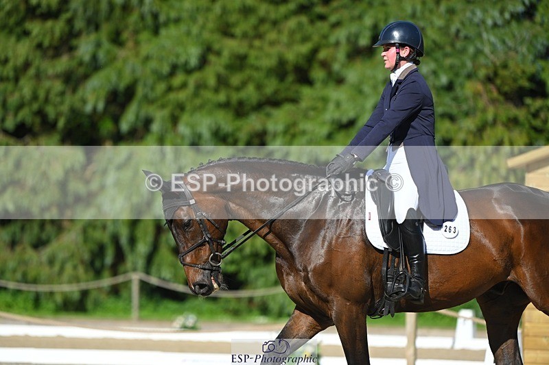 230526-172532-07600 - 263-CARWARTHEN_HARRIER-Polly_Muirhead-WEDTrotUp+DR