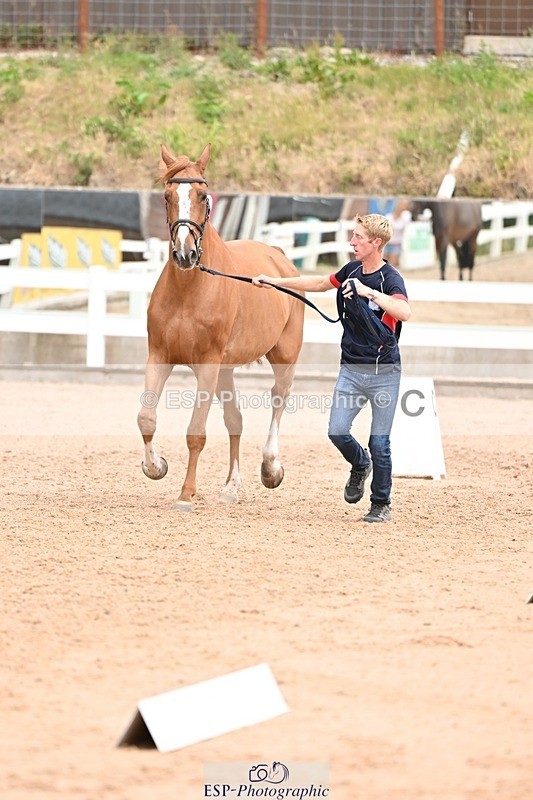 250716-144021-01283 - Trot Up 2.30 to 3.30