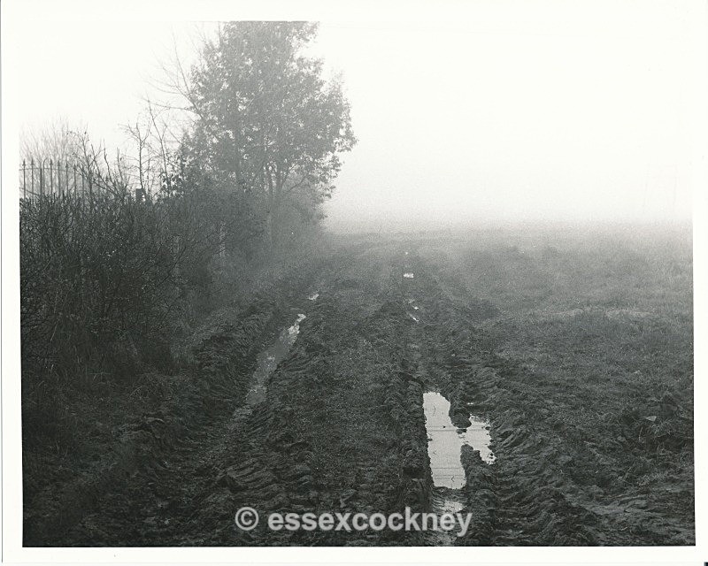 benfleet essex ss7