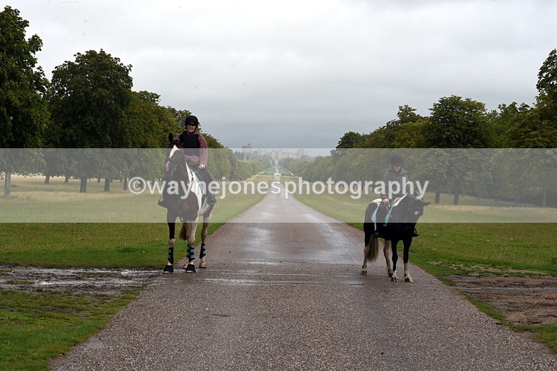 TT3_8274 - Time at Crossing 10:16 to 11:38