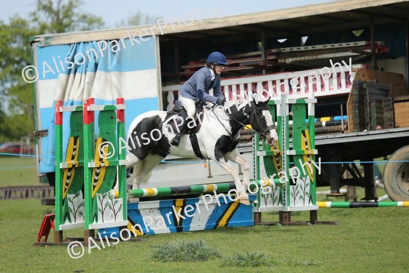 20260426-2049 - Class 15 - Absolute Novice 70cm