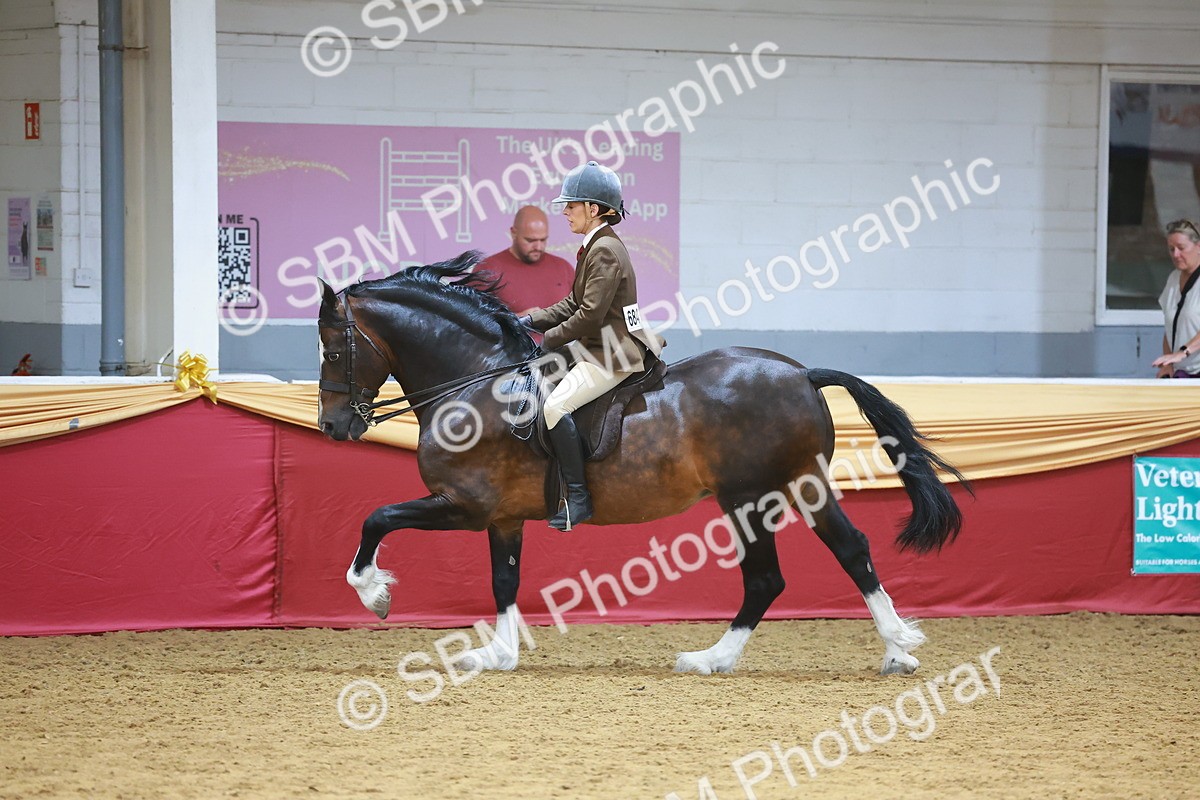 SBM_06075 - Class 12R - Ridden Pre-Vet