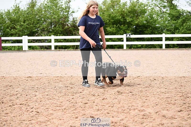 240518A-120822-01098 - Cls 3 Handsomest Dog