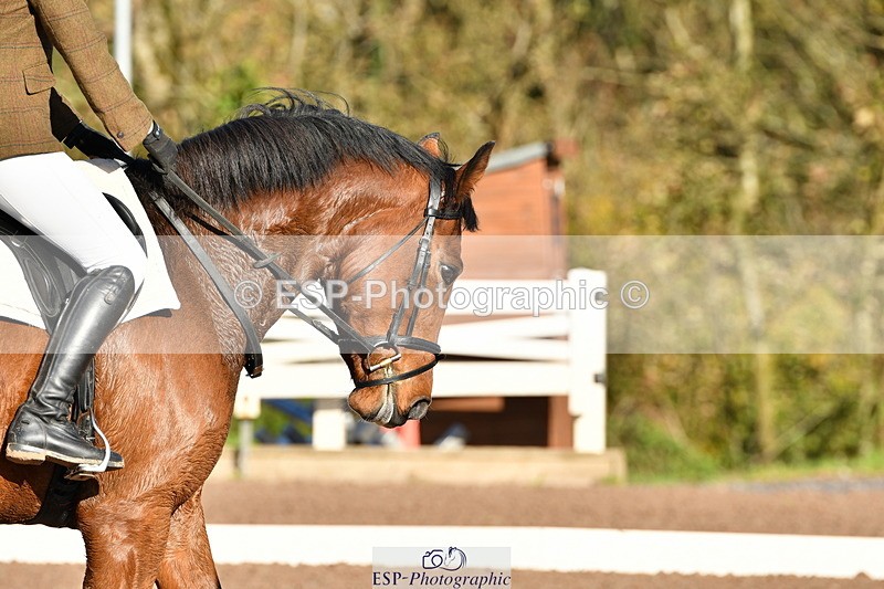 231105A-101606-00070 - UnAf Prelim 12