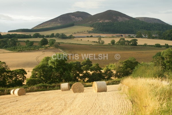 85 - SCOTTISH BORDERS