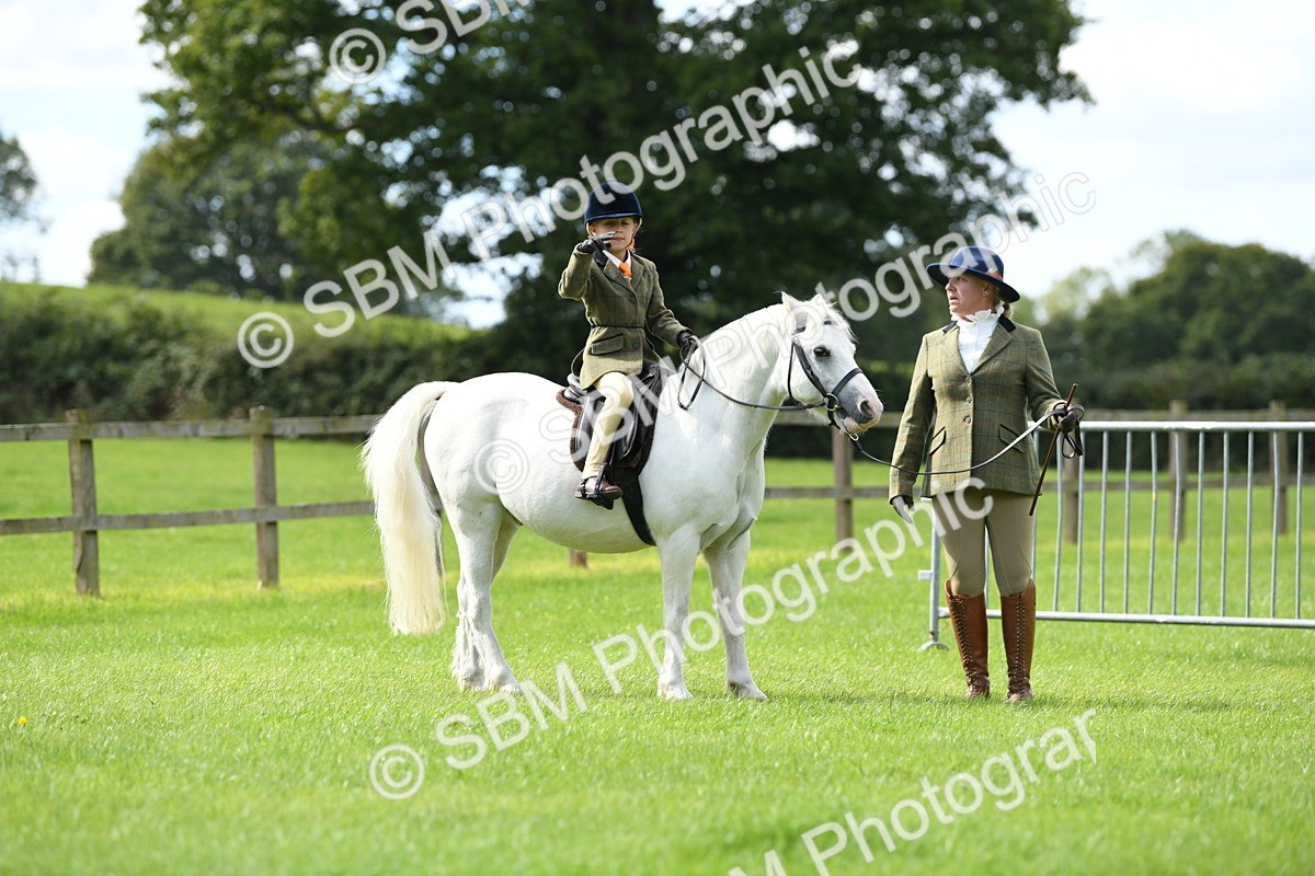 SBM_42480 - S20 - Lead Rein Mountain & Moorland Pony