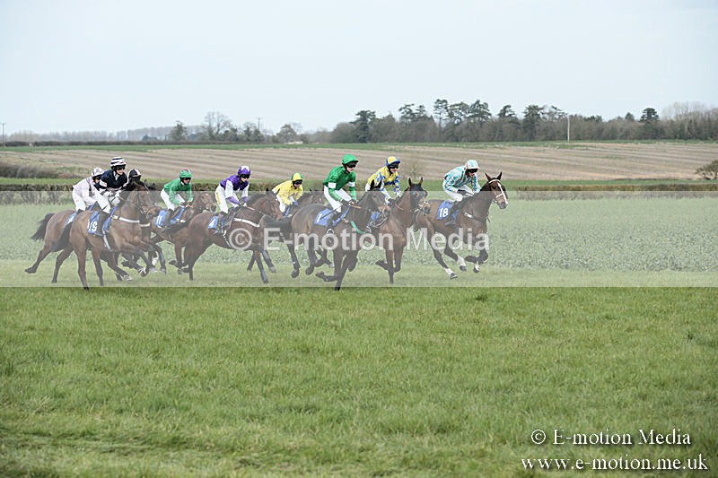 PtP 230319 152 - VWH Hunt Siddington Point-to-Point Racing 23/03/19