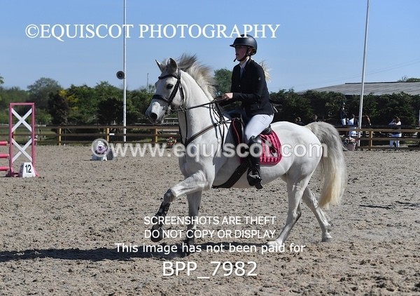 BPP_7982 - CLASS 2 Club/ Unaffiliated 80cms Open