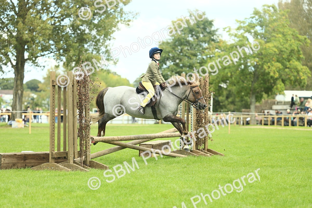 SBM_42766 - S30 - M&M Working hunter Pony