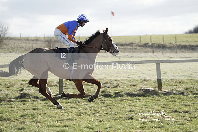 PtP 260223 1118 - South & West Wilts Point-to-Point Larkhill 26/02/23