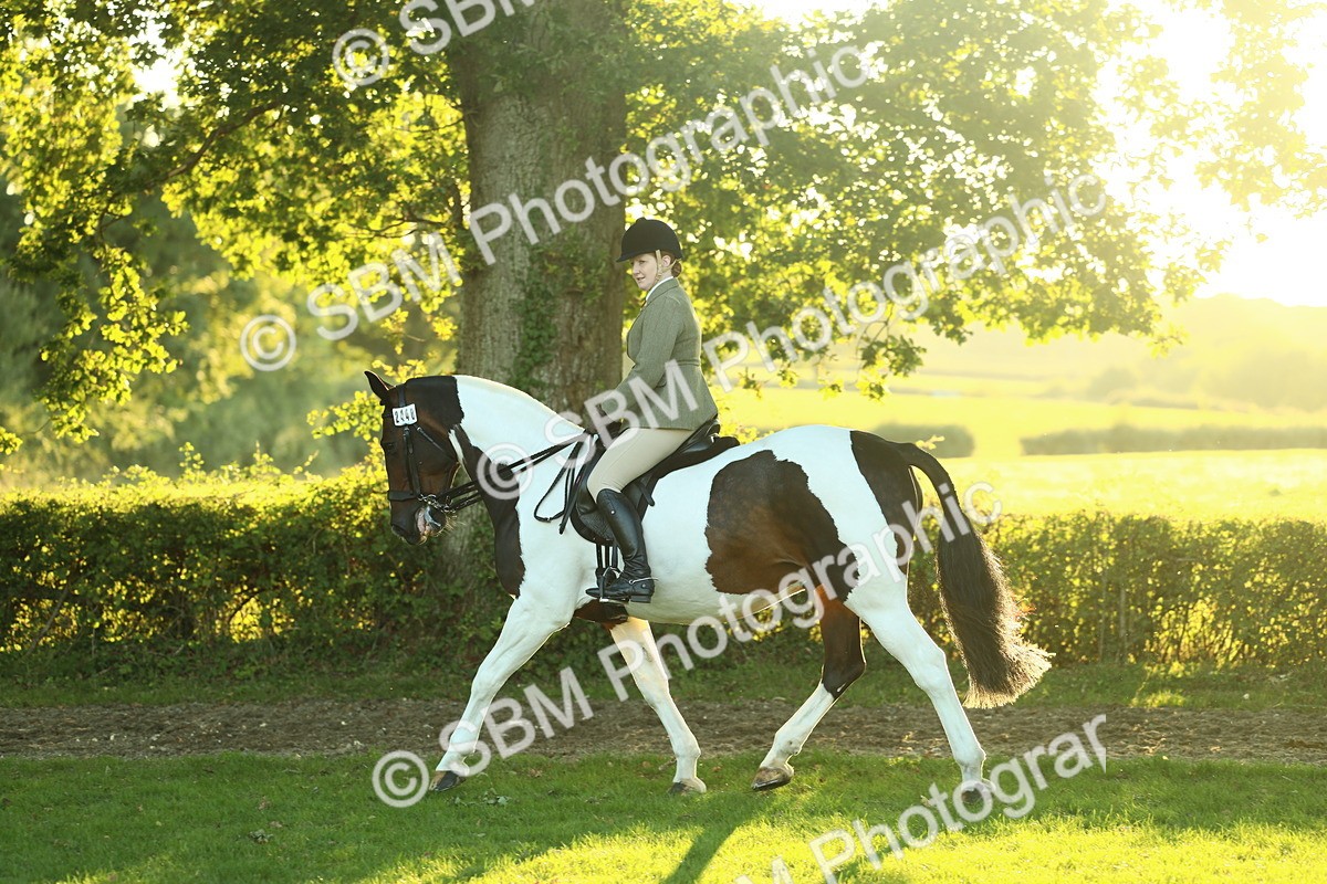 SBM_56489 - S14 - Riding Club Horse