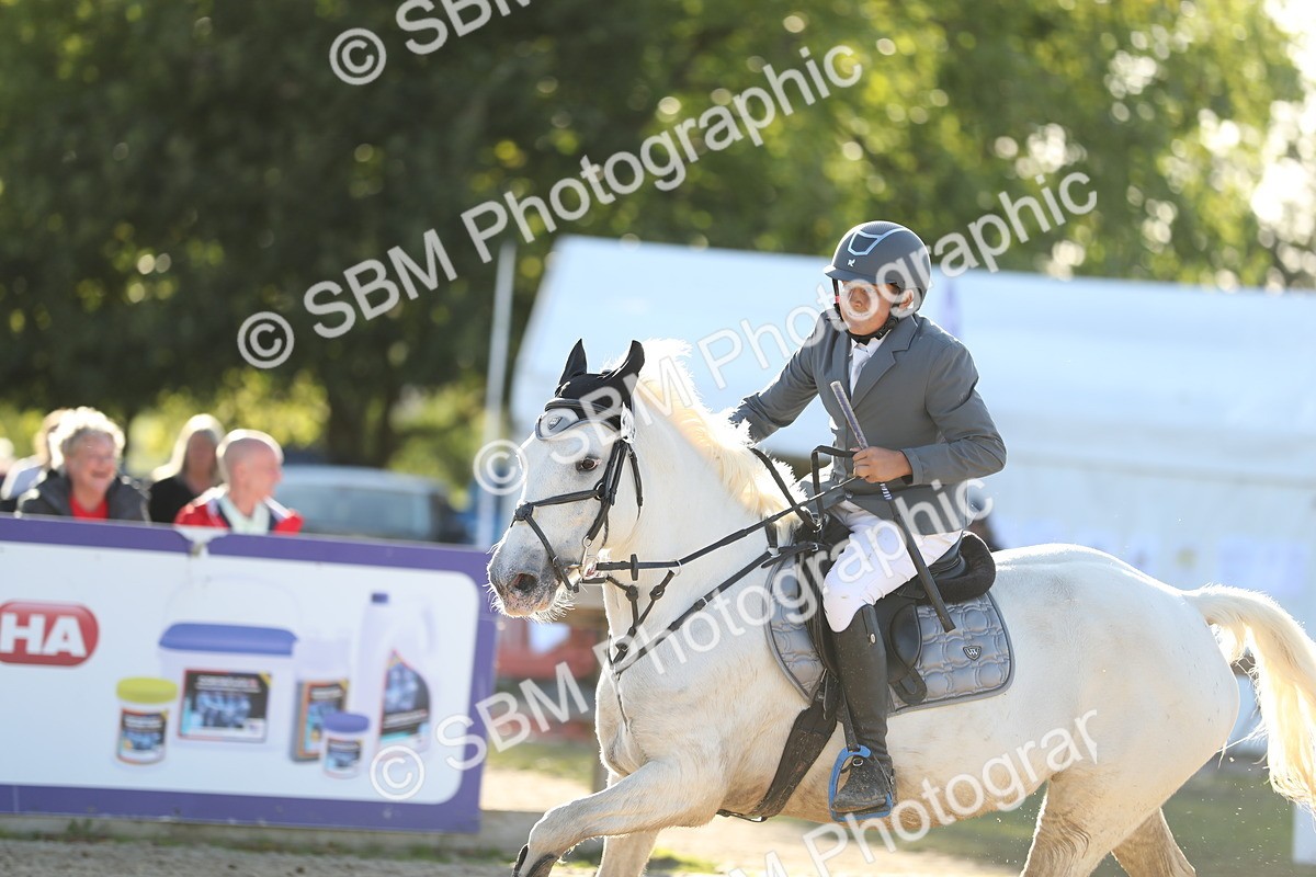 SBM_53912 - J23 - Junior Horse 70cm Championship