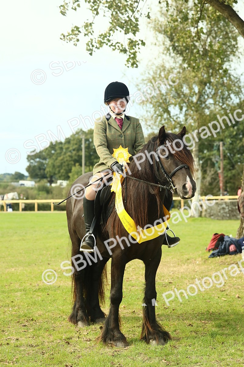 SBM_69407 - S58 - Mini Show Cob Ridden