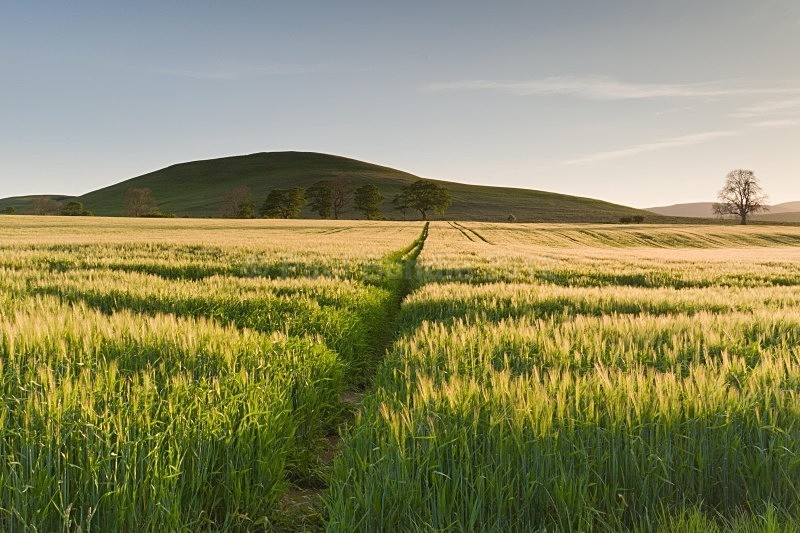 from the Suns Rising 13 of 50 - 'From the Sun's Rising...' Exhibition Prints