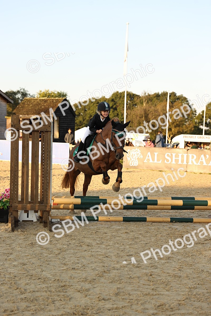 SBM_56972 - J11 - Junior Pony 50cm Championship