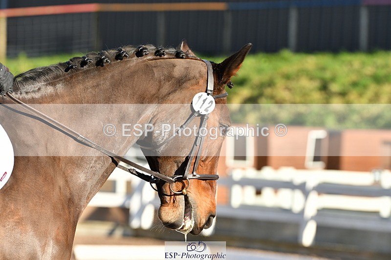 240107A-115524-01463 - UnAff Prelim 7