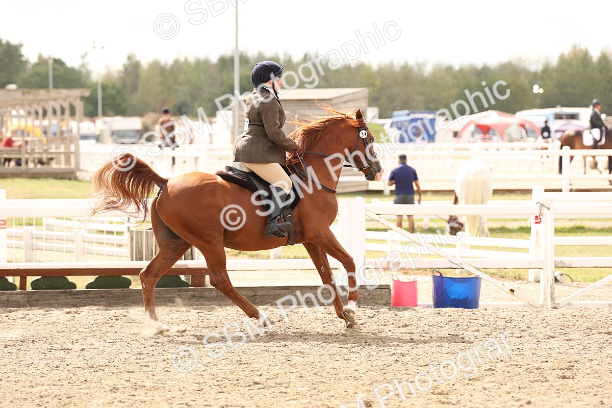 SBM_05220 - Class 56b -  Style & Performance - 50cm (20+)