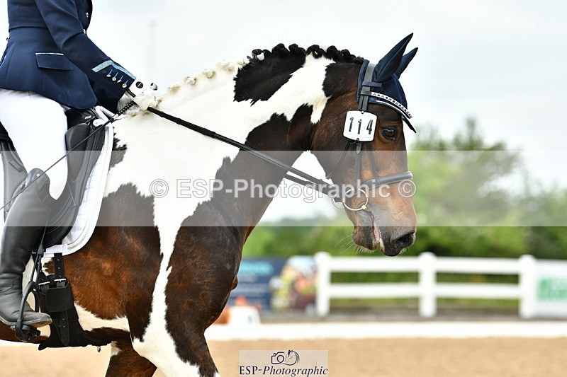 230701A-130959-06231 - Cls 8 Elementary 57