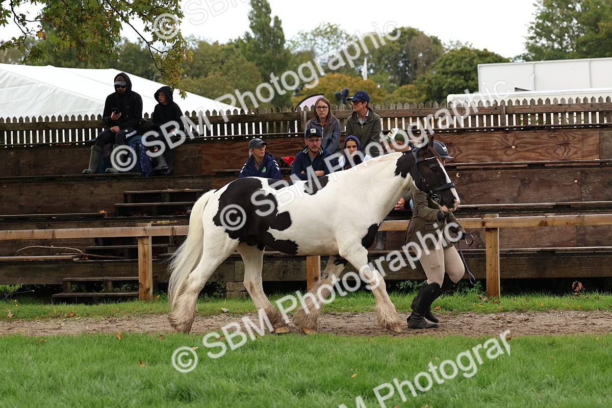SBM_39483 - S24 - Young Veteran In Hand