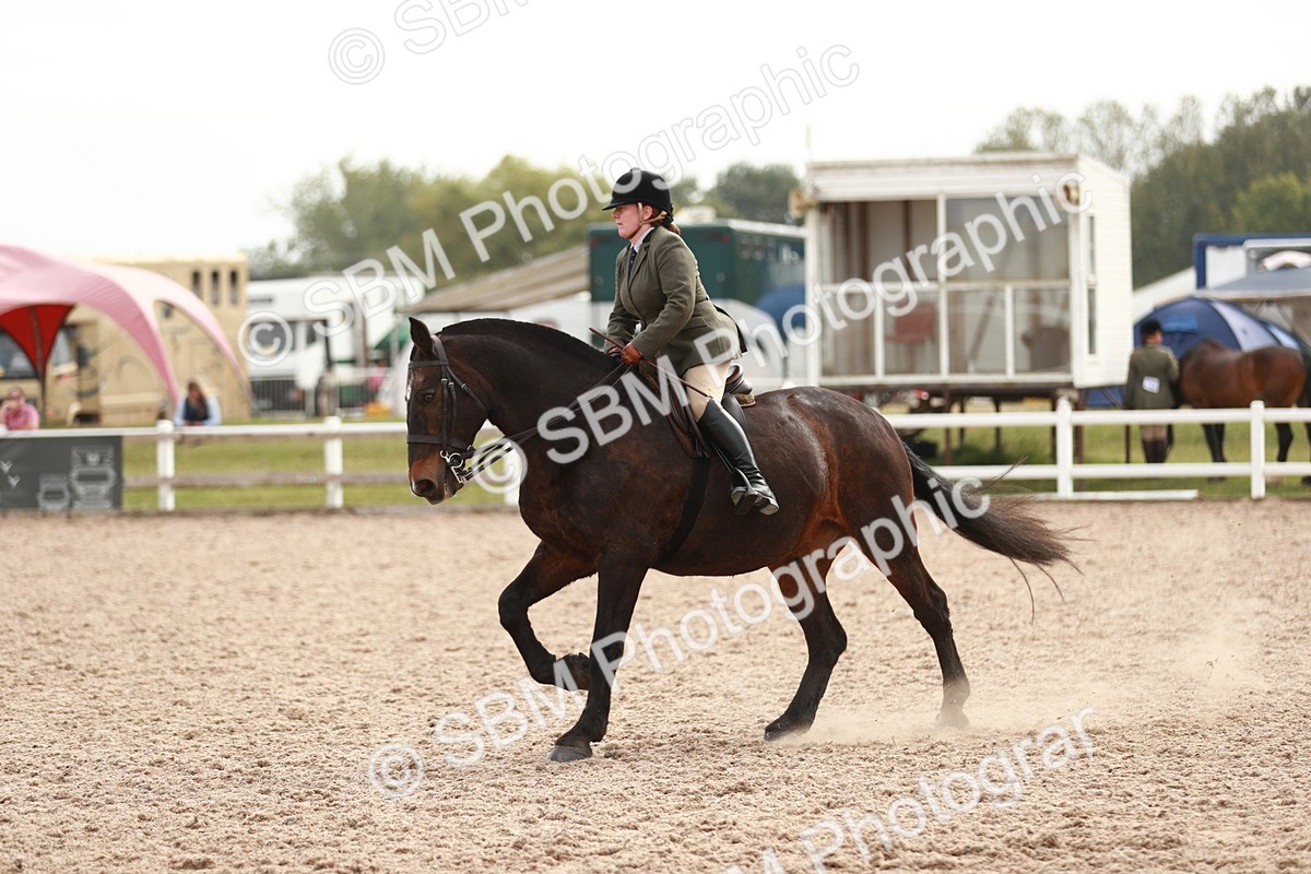 SBM_16779 - Class 214 Ridden Cob