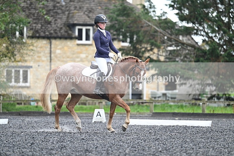 WJ7_3709 - Time 11:04 to 11:38