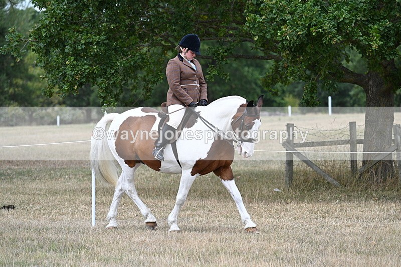 WJ7_4774 - Class 12 Ridden Cob