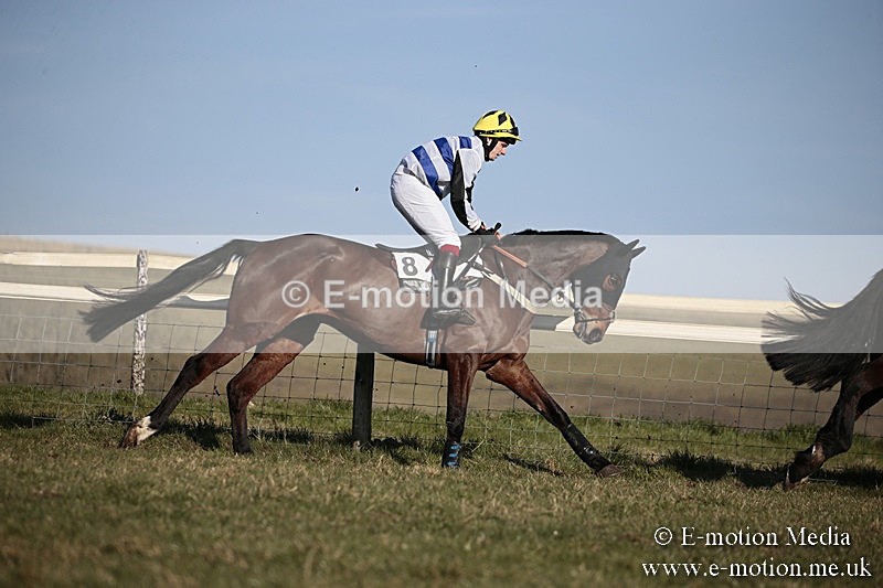 PtP 240218 446 - Vine & Craven Hunt Point-to-Point Barbury racecourse 24/02/18