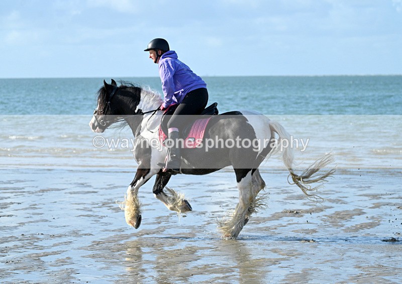 WJ7_3269 - Kellie & Churchill ... do Hayling Island 25-08-24