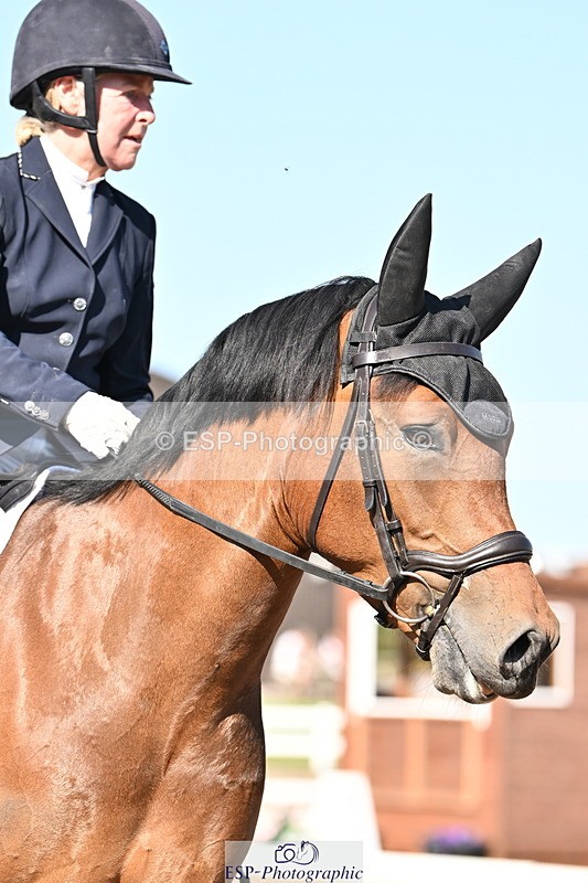 240816A-163341-06198 - 197-Karen.Martin-Furzeylodge.Weatherwax