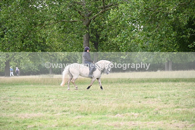 WJ6_4948 - Time at Jump 13:04 to 13:34