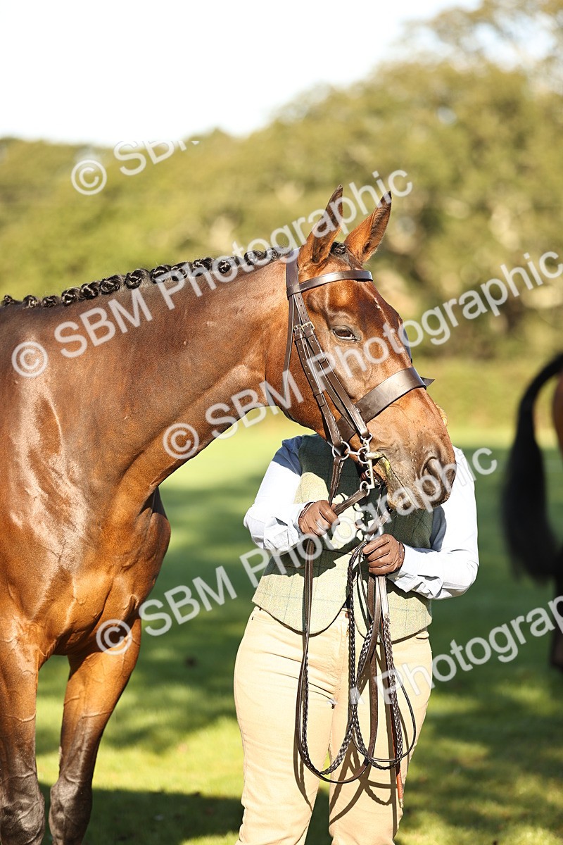 SBM_15734 - S1 - TSR in Hand Horse & Pony Showing
