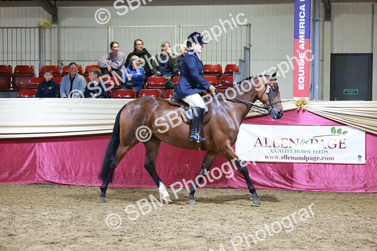 SBM_20694 - Class J - Foreign Breeds Champ