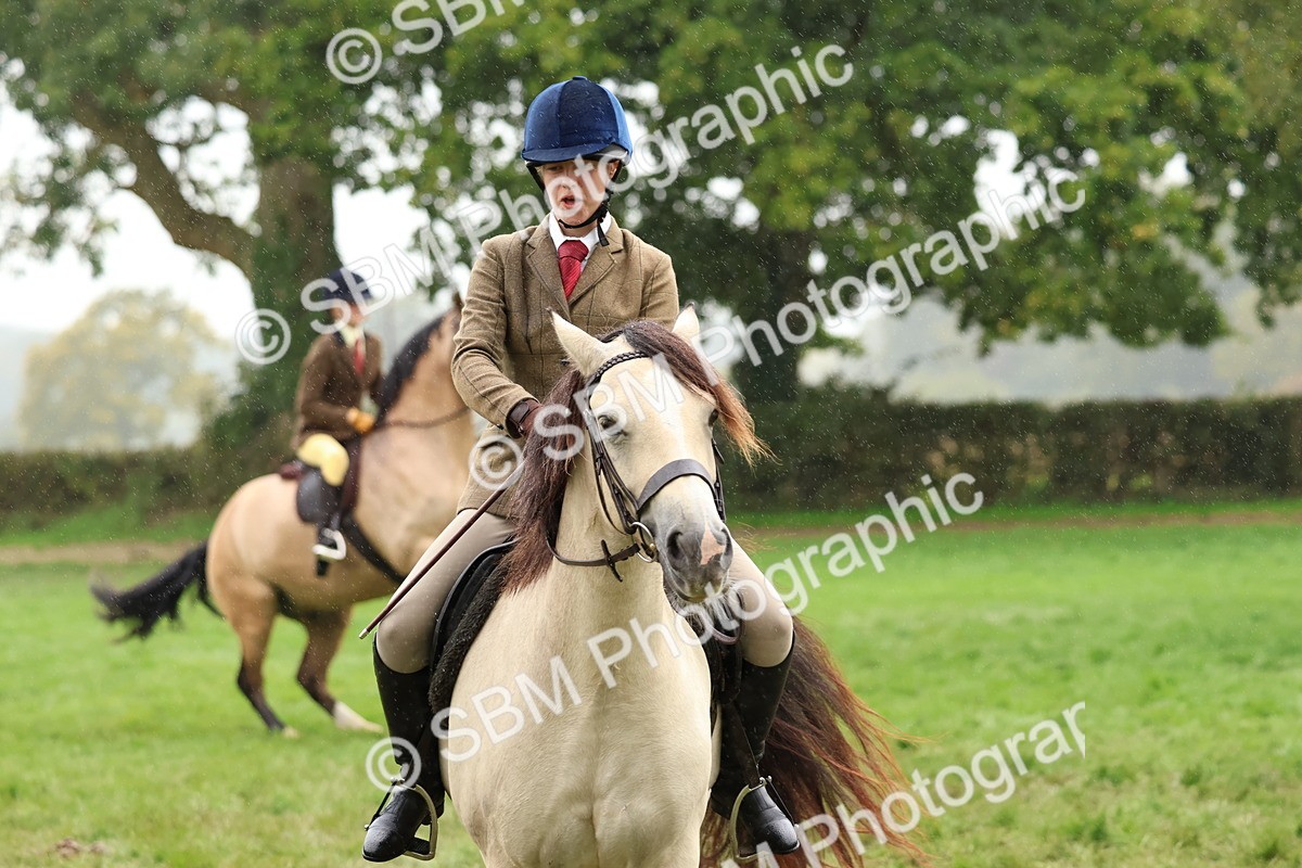 SBM_69730 - S62 - Mountain & Moorland Ridden Large Breeds