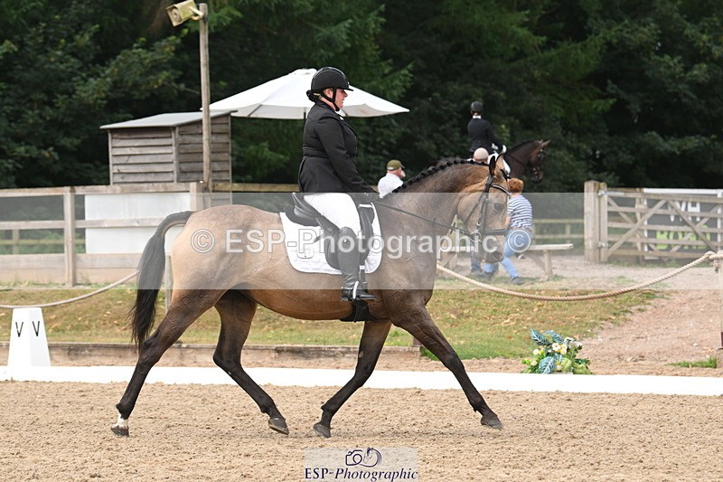 250719A-104343-03998 - 127-Jocelyn.Gilmore-Spring.Lily