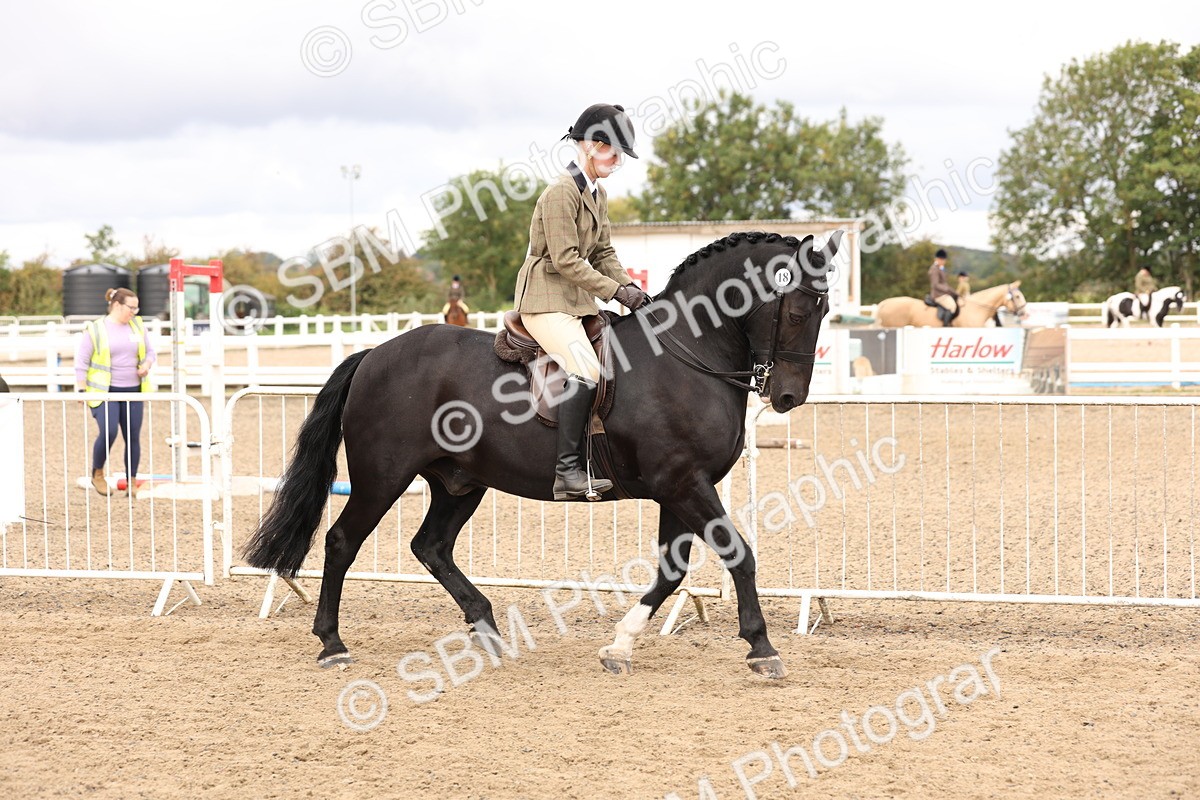 SBM_02794 - Class 53 - Ridden Competition Horse/Pony