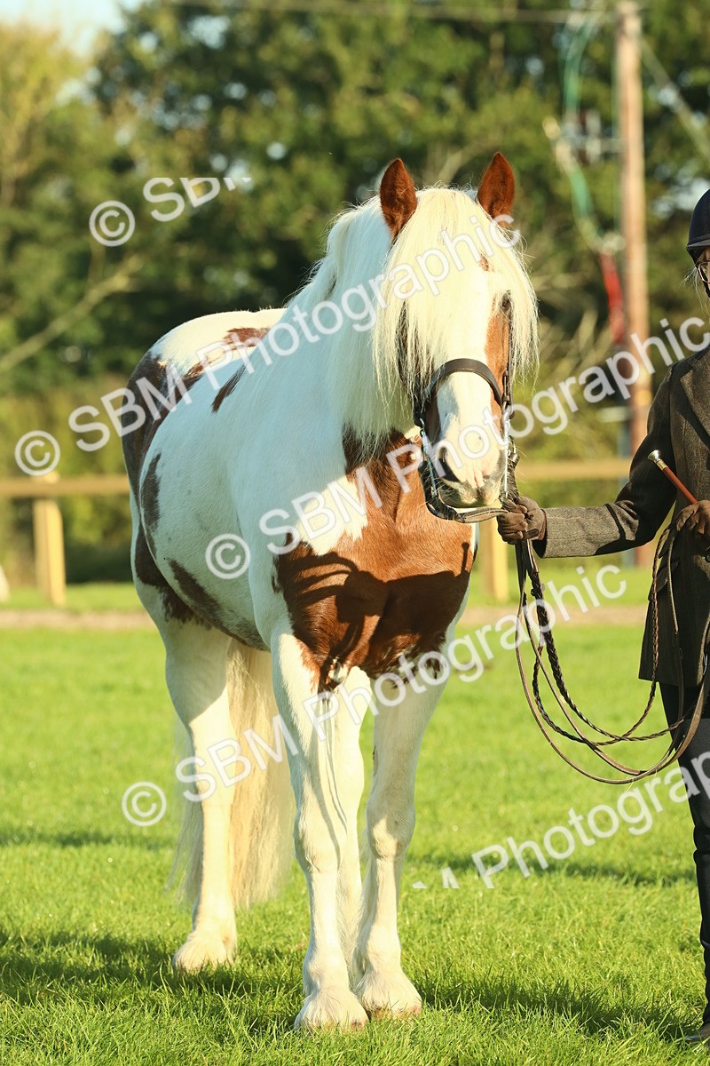 SBM_57470 - S37 - Starters In Hand Showing