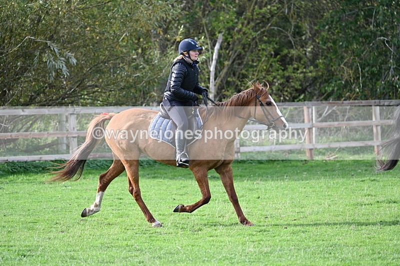 WJ7_1108 - Time 14:27 to 15:11