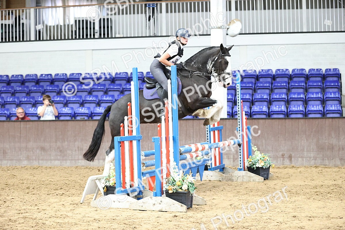 SBM_011616 - 80cm