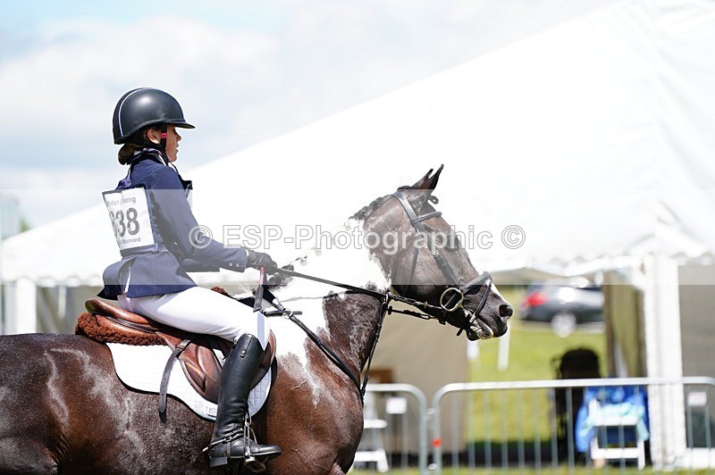 240630X-125054-8385 - 338-Natasha_Crapper-KILCORBAN_MY_FAIR_LADY